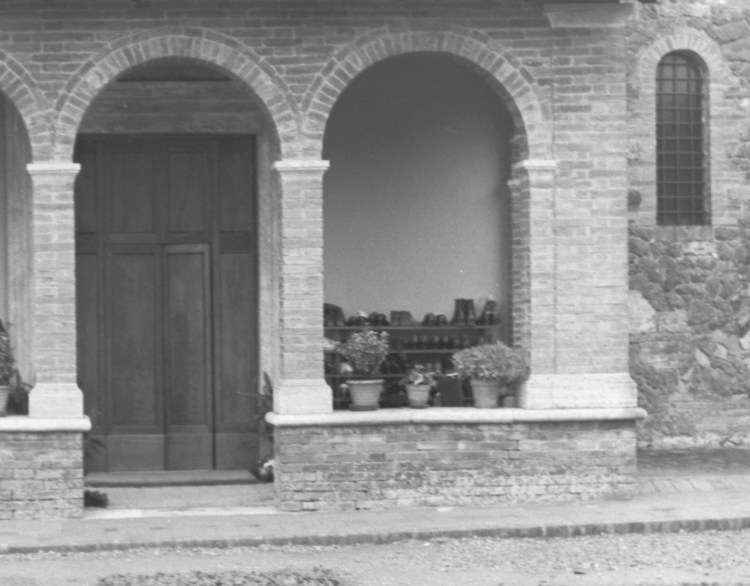 My beautiful picture