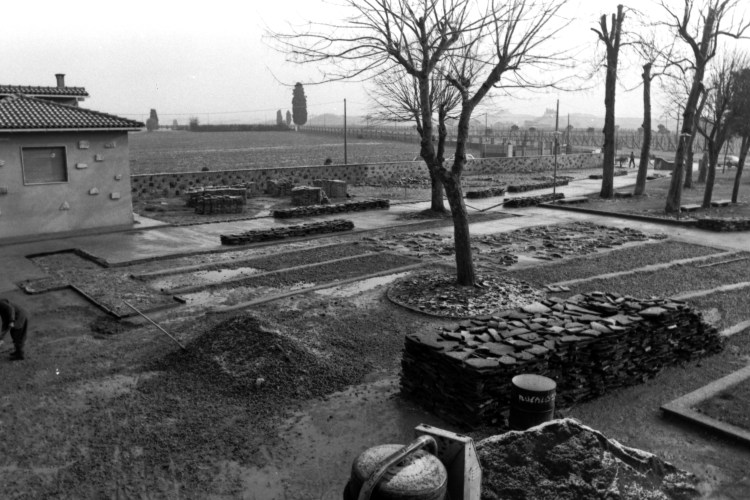 My beautiful picture