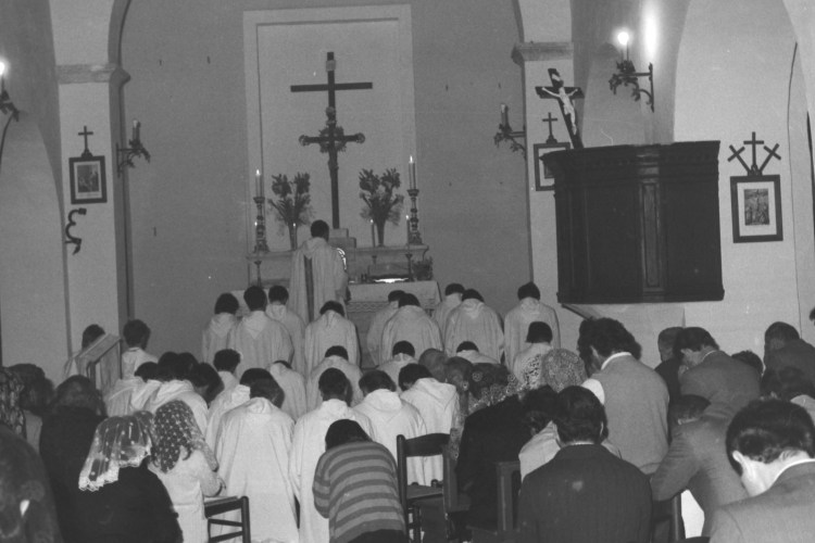 My beautiful picture