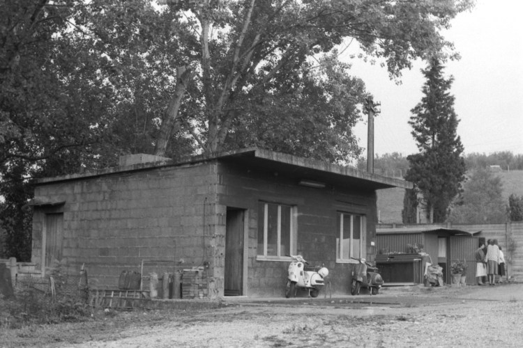 My beautiful picture