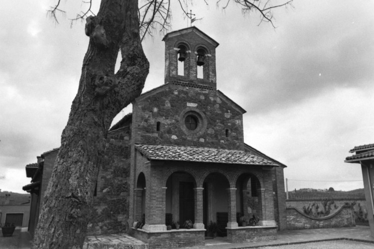 My beautiful picture