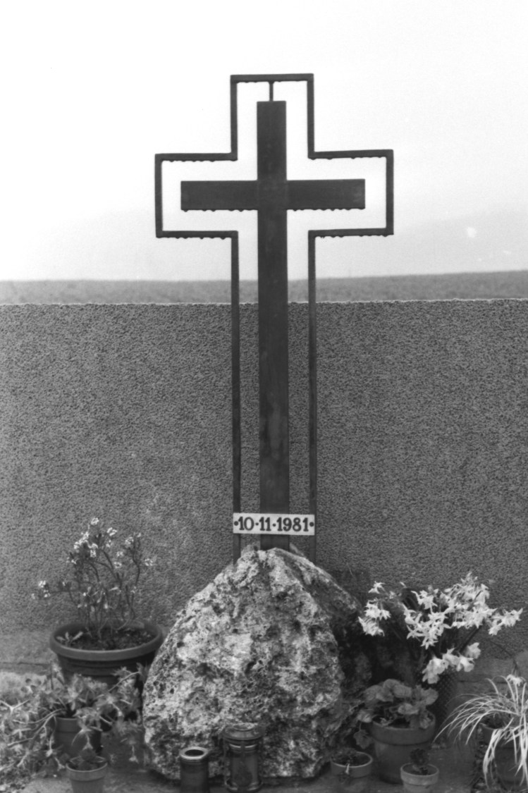 My beautiful picture