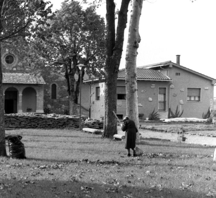 My beautiful picture